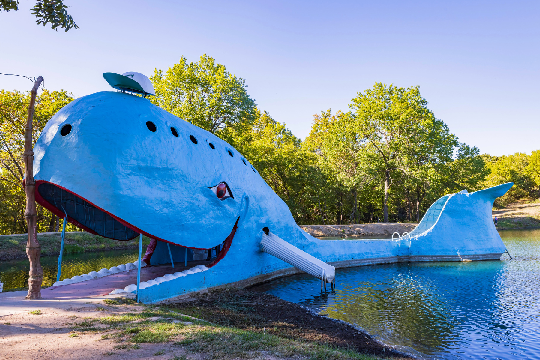 The Blue Whale The Blue Whale